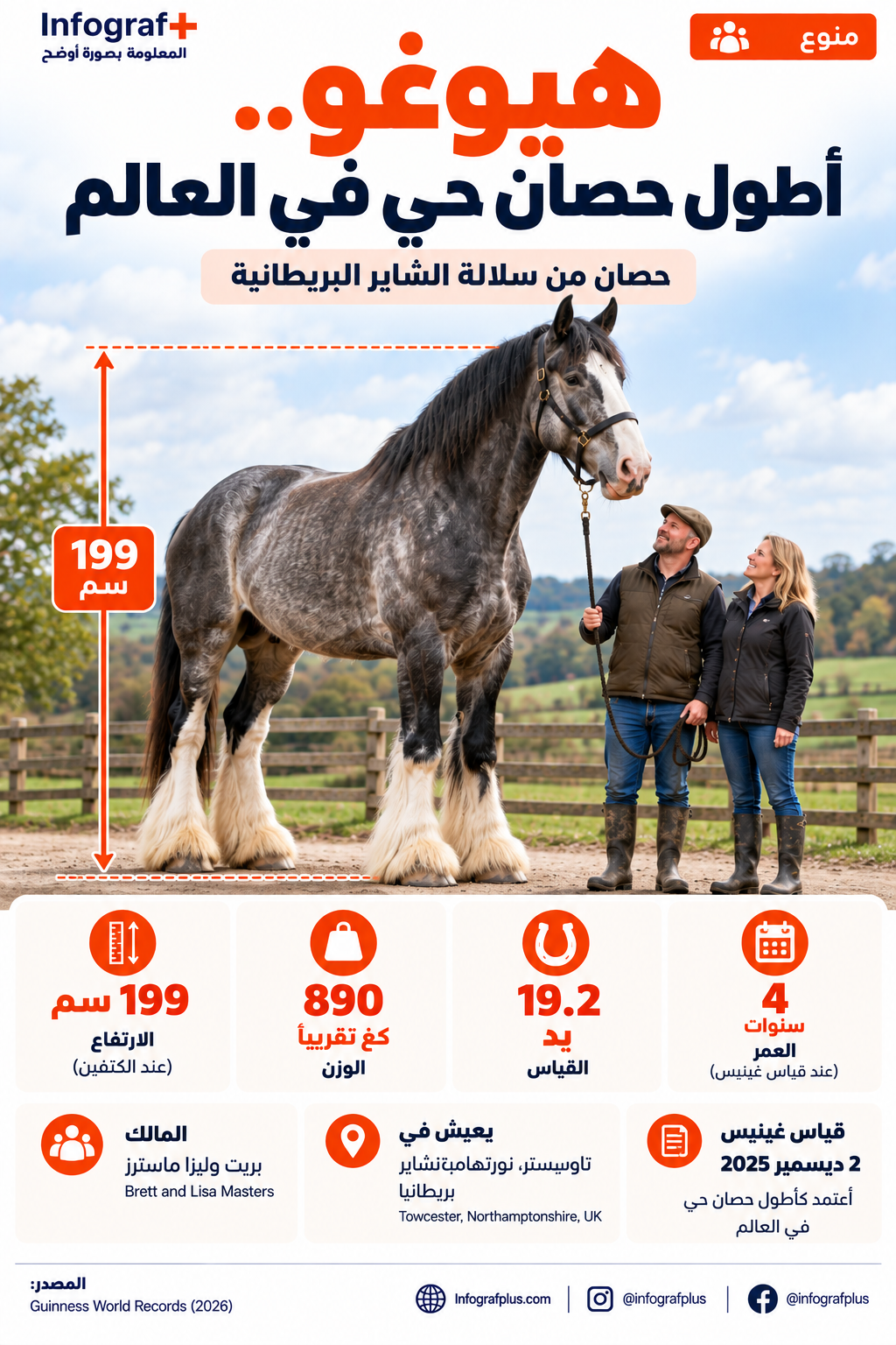 إنفوغرافيك عن هيوغو، حصان الشاير البريطاني الذي يحمل لقب أطول حصان حي في العالم بارتفاع 199 سم، ويعيش مع مالكيه بريت وليزا ماسترز في نورثهامبتونشاير ببريطانيا.